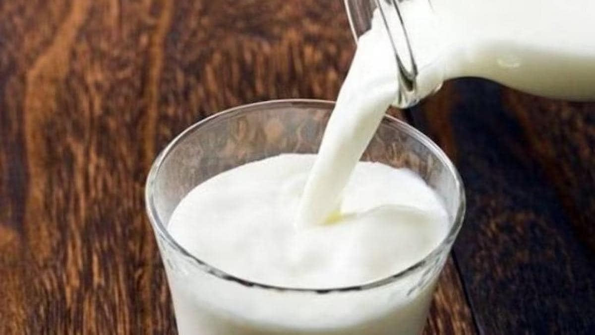 Health Tips: పాలతో కలిపి ఎట్టి పరిస్థితుల్లో ఈ ఆహారాలను తీసుకోకూడదు. తింటే చాలా ప్రమాదం..