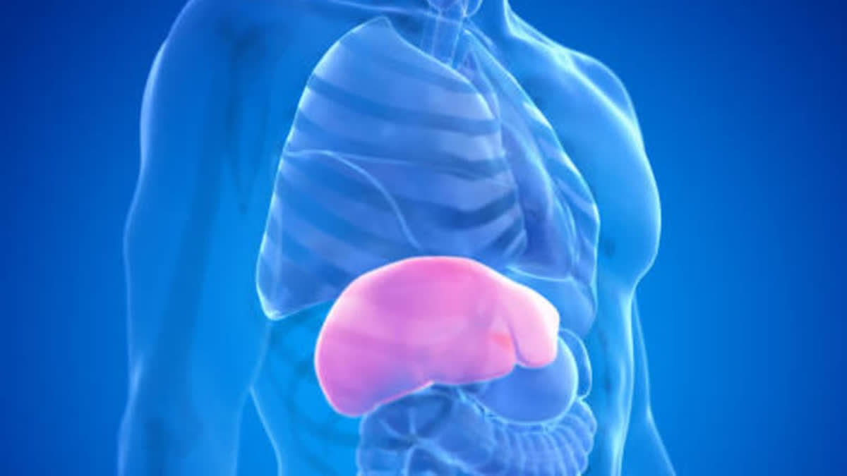 Health Tips: కాలేయ సమస్యతో బాధపడుతున్నారా..అయితే షుగర్ వచ్చే ప్రమాదం ఎక్కువ..