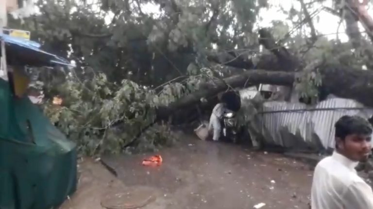 Hyderabad Rains: వీడియో ఇదిగో, భారీ వర్షాలకు గోల్కొండలో నేలకొరిగిన 200 సంత్సరాల నాటి చెట్టు, ఓ వ్యక్తికి గాయాలు, నాలుగు బైక్స్ డ్యామేజ్