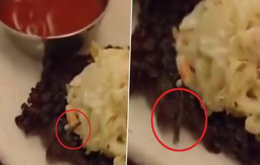 Live Worm Found in Kebab: వీడియో ఇదిగో, చికెన్ కబాబ్‌ తింటుండగా ఒక్కసారిగా లేచిన పురుగు, భయంతో కెవ్వున అరచిన కస్టమర్