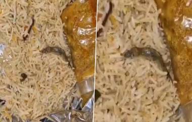 Dead Lizard Found in Biryani: ఈ వీడియో చూస్తే బిర్యానీ పార్సిల్ అంటే భయపడిపోవాల్సిందే, బల్లిని కూడా చికెన్ ముక్కలాగా ఎలా పార్సిల్ చేశారో మీరే చూడండి